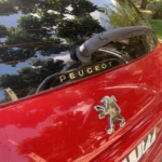 ورد پلیت ژله ای شیشه عقب خودرو پژو 206 و 207- peugeot