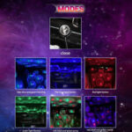 لامپ USB ال ای دی مدل اتمسفر لایت مدل کهکشانی