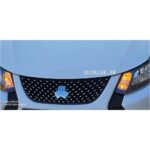 نگین توری جلو پنجره کوییک اس