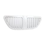 جلو پنجره تیباBMW سفید