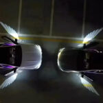 بال فرشته بغل درب خارجی